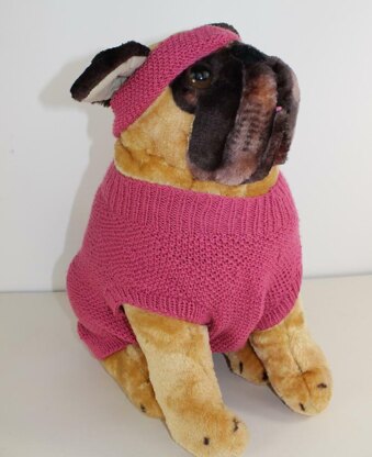 Dog Moss Stitch Coat and Headband