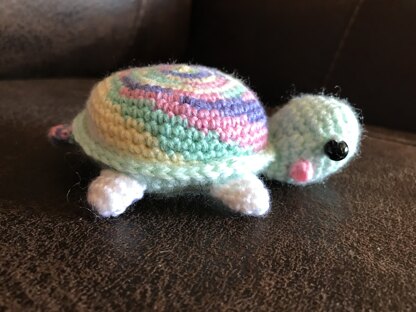 turtle