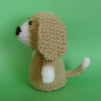 Jelly Bums Dog