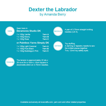 Dexter the Labrador in Deramores Studio - Downloadable PDF