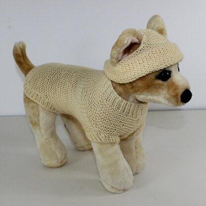 Small Dog 4 Ply Coat & Beanie Hat