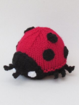 Ladybird Chocolate Orange Cosy