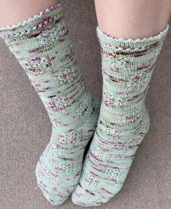 Rosette Windows Socks