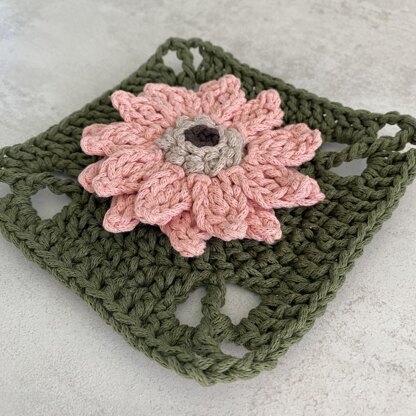 Gerbera Granny Square