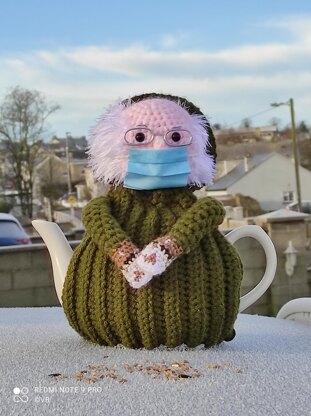 Bernie Sanders Tea Cosy + Bonus