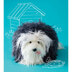 Nicky Epstein Books Knit A Square Create A Cuddly Creature