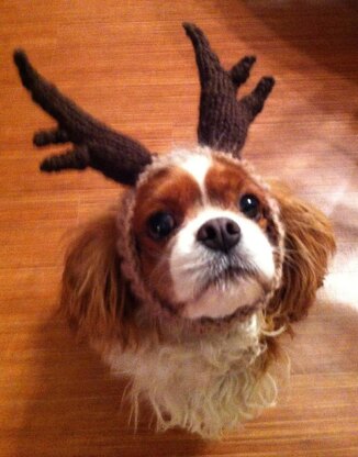 ROFL Dog Antlers