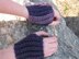 Easy Fingerless Gloves