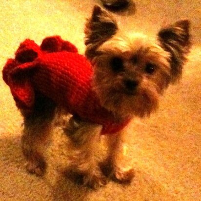 Sofie's Tiny Dog Knit "Party Dress" - knitting pattern