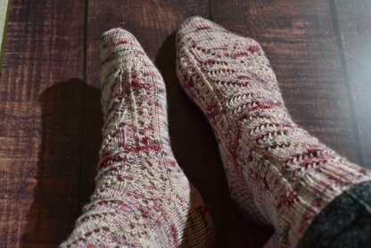 Kolia chaussettes VF