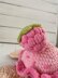 Crochet Turtle With Raspberry Amigurumi Plush Toy