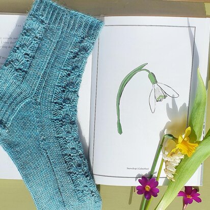Galanthus Socks - knitting pattern