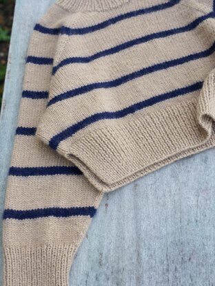 Ruke Cropped sweater