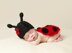 Newborn Ladybug Hat and Bottom Cover