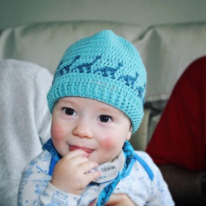 Dinosaur Stitch Hat