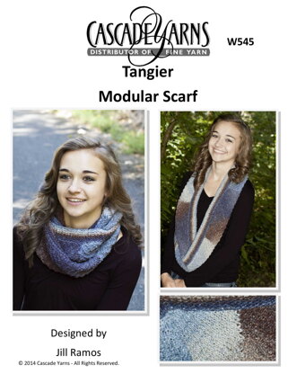 Modular Scarf in Cascade Yarns Tangier - W545 - Downloadable PDF