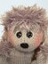 Homeward Bound Hedgehog Choc Orange Cosy