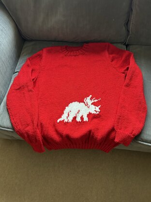 Gel's dinosaur jumper