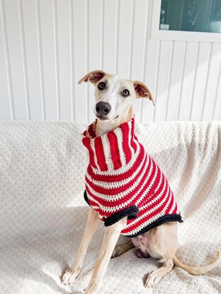Doggo no 14 sweater