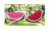 Plush Watermelon Slice Crochet Pattern