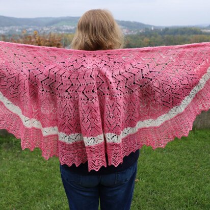 What the Heart wants Shawl