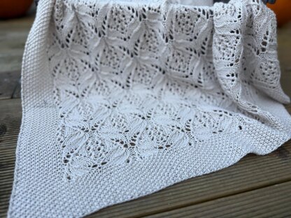 Little Sprout Baby Blanket