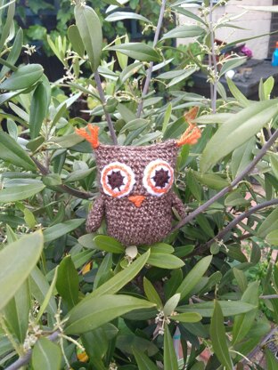 Sprout the Owl