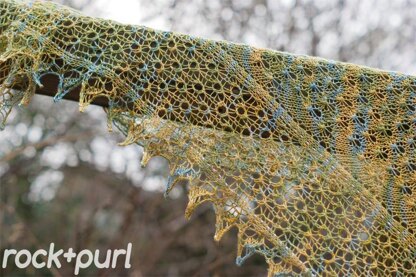 Libelula shawl