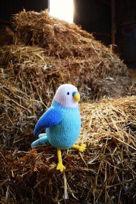 Clifford the Budgie