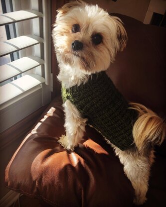 Waffle Stitch Dog Sweater