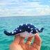 Lancelot the Spotted eagle ray