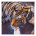 Crystal Art The Tiger, 70x70cm Diamond Painting Kit