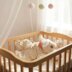 Baby Bear All in one set