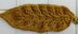 Arrowroot