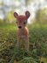 Amigurumi crochet Bambi Deer