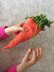 Carrot treat bag