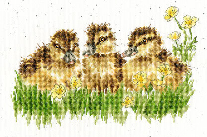 Bothy Threads Buttercup Cross Stitch Kit