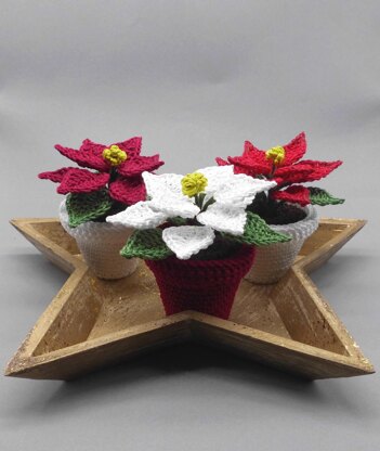 Small poinsettia in a pot - easy from scraps of yarn