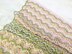 Lantana Baby Blanket