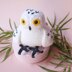 Yuki the Snowy Owl