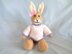 Little Dazzler Bunny: Willow