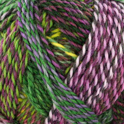 Schoppel Wolle Edition 3 Yarn at WEBS | Yarn.com