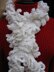 Loopy Layers Scarf