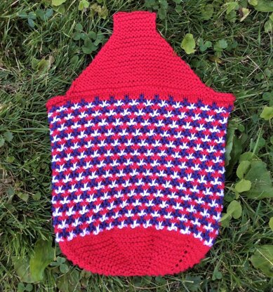 Stars & Stripes Snack Sack