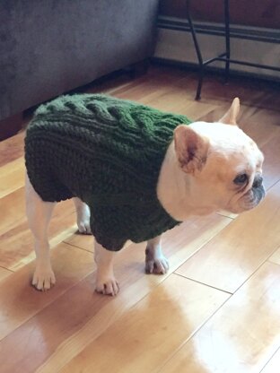 Smidge's Sweater