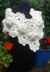 Rose and Flower Motif Crochet Wrap