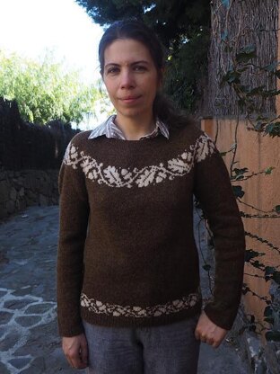 Dehesa Sweater