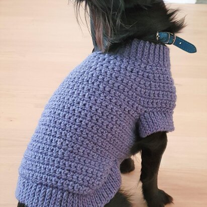 Crochet dog sweater with hot sale legs