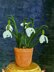 Snowdrops realistic flower