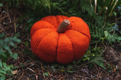 Pumpkin in Deramores Studio Chunky - Downloadable PDF